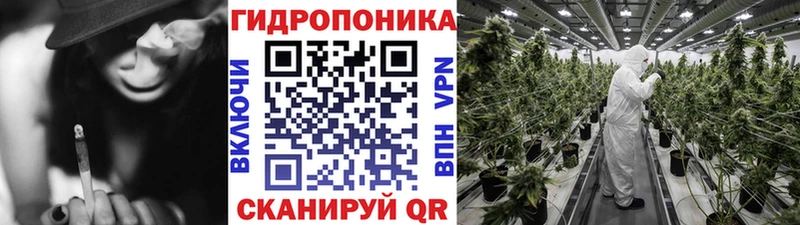наркота  Нижний Новгород  Канабис план 